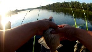 Рыбалка на Дону с лодки, Иловлинский р-н 7-8 августа 2021