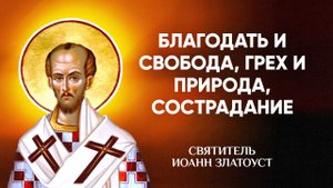Иоанн Златоуст — 45 Благодать и свобода, грех и природа, сострадание — Беседы на Матфея