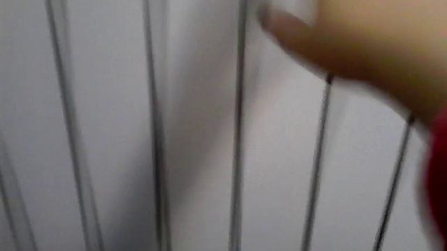 Как правильно выбрать лежанку для кошки смотреть онлайн