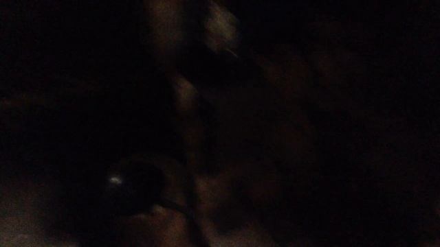 Зимовье, готовимся к зиме смотреть онлайн