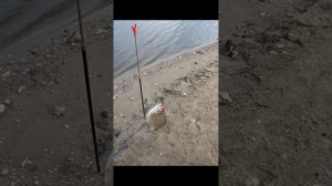 Рыбалка на густеру в апреле