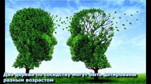 Создание древних цивилизаций 06 Андрей Скляров