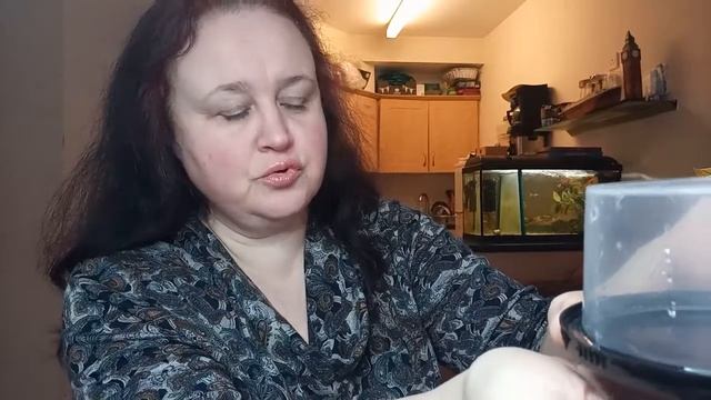 Инкубация перепелов 15 день . .Перепелки из магазинных яиц . Китайский инкубатор 12 EGG. смотреть онлайн