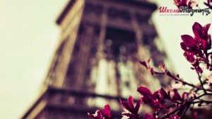 Где на нашей планете запрещено умирать?