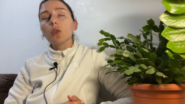 Известно более 2000 лет ✅Почему важно работать и не ленится! смотреть онлайн