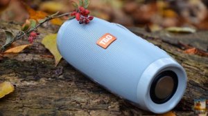 Bluetooth колонка Portable BT Speaker TG157