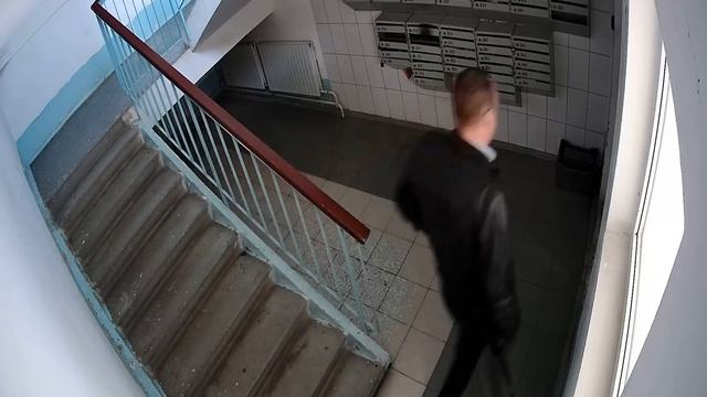 5 под лестница 2022.02.24 04 00 12 00 смотреть онлайн