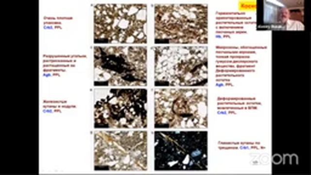 #11 А.В. Русаков. Палеопочвенные архивы в рефугиумах ближней перигляциальной зоны смотреть онлайн