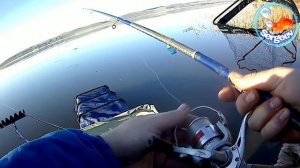 Рыбалка с Михалычем на реке Уса