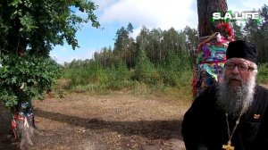 Избийский Бор. На берёзе явился лик Божьей Матери с ребенком!!!!!!