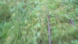 Поездка днем на самодельной дрезине по заброшенной узкоколейной железной дороге ужд. 1 часть.