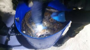 Рыбалка на налима 2022. Ловля на СТУК. Ночная рыбалка.