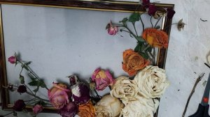 мастер класс панно из сухоцветов