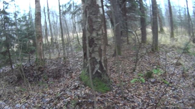 Ноябрьские раскопки смотреть онлайн