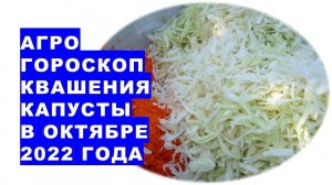 Агрогороскоп квашения капусты в октябре 2022 года