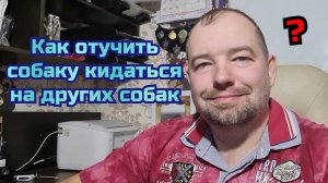 Как отучить собаку кидаться на других собак