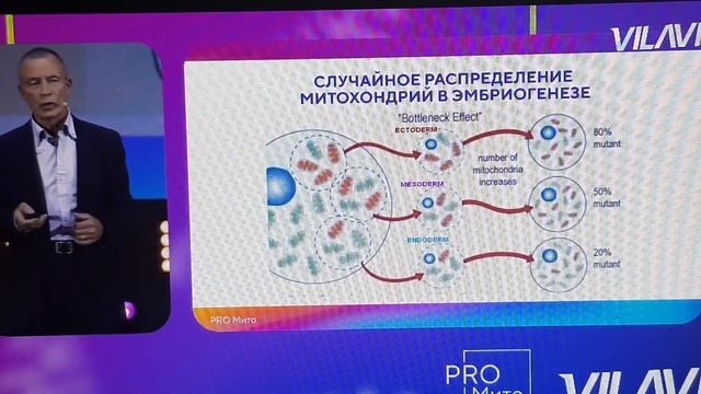 Аркадий Прокопов, Испания. Как волны кислорода управляют жизненным циклом митохондрий.