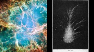 Messier 1 - The Crab Nebula | Astronomic