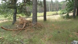 Какие наушники лучше для поиска с Терка-705