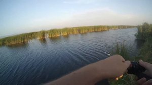 Рыбалка Чистые пруды Богатыревка