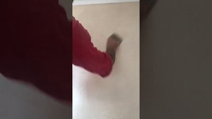 Венецианка шпаклёвка