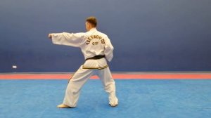 Базовая техника таэквондо Формальный комплекс Вон хье - 28 движений