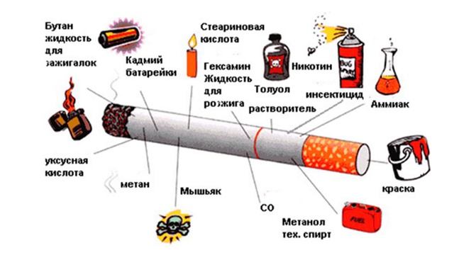 Вред табачного дыма на организм человека проект