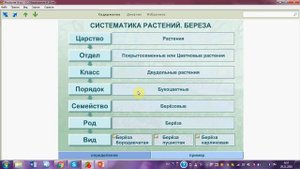 Систематика растений. ОГЭ. ЕГЭ. Биология.