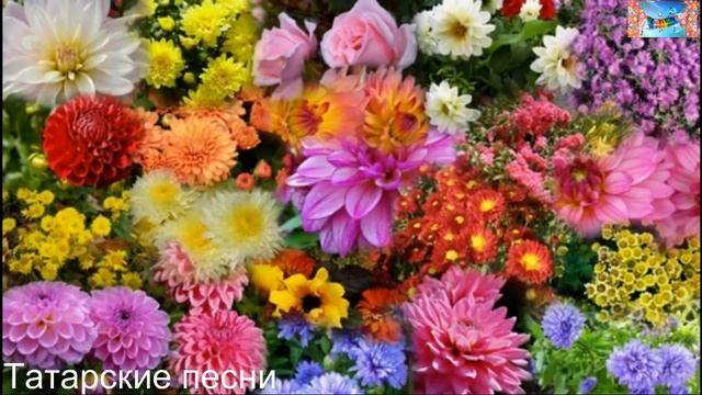 Татарские песни 59 смотреть онлайн