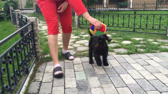 19 мая 2016 г. смотреть онлайн