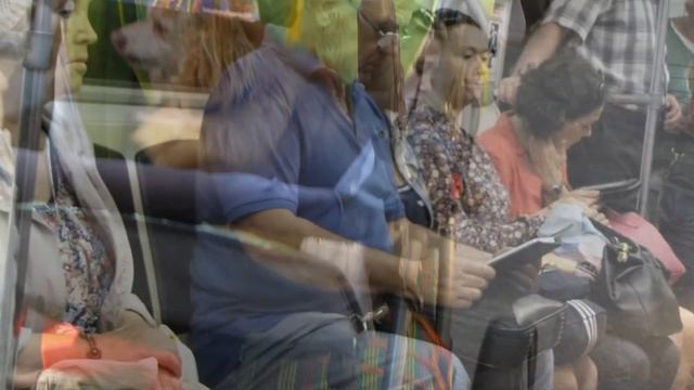 Бульдог и таксик смотреть онлайн