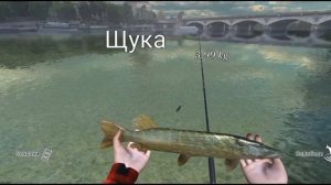 За ЩУКОЙ в Париж!!! | Ultimate Fishing Simulator | Ловля на ЖИВЦА