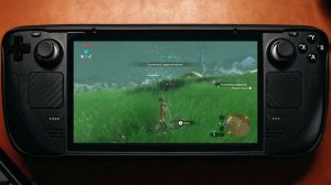Steam deck |  Zelda: Breath of the wild | 40 fps