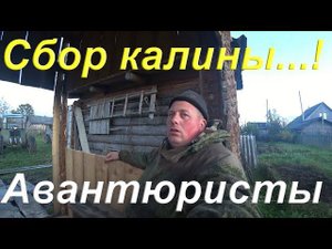 Сбор калины/О конфузе с собакой/Вездеход/Слива созрела/Уборка дров/Об Авантюристах и жизни в деревне