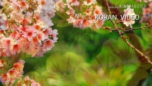 Коран. Сура Ар - Рахьман. Очень красивое и мощное чтение.  Koran. Surah Ar - Rahman.