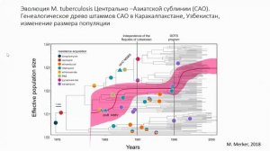 Роль молекулярно-генетических методов в определении лекарственной чувствительности возбудителя тубер