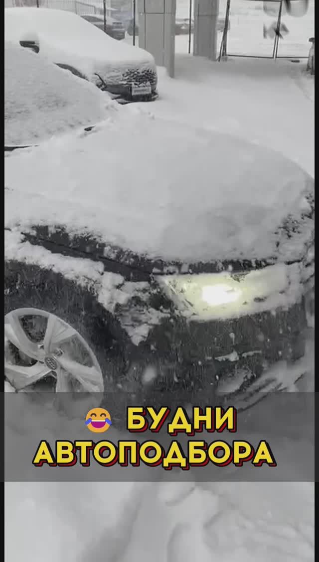 Будни автоподбора #автоподборспб #автоизевропы #автоэксперт #автоподбормосква