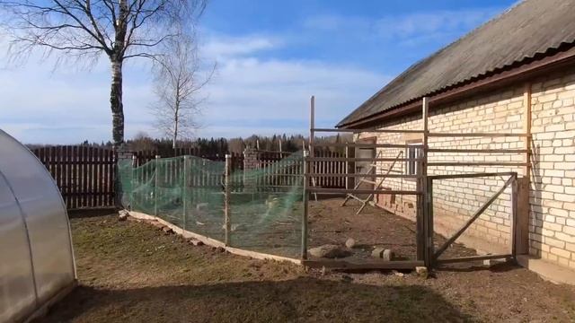 #126. Обрезка сада. Свинарник-начало положено! Чахохбили в афганском казане. [Жизнь на своей земле] смотреть онлайн