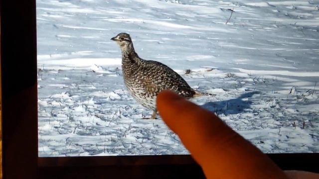 Планшет ASUS ME302KL (тест видео 1080p) смотреть онлайн