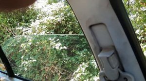 ровер 400 1,4 1997г тест драйв 2часть (глухих)