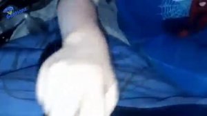 Besame mucho (Special version Guitar with 4 hands by mom and son) - Gentiane & Tom Trognon