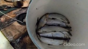 Рыбалка на озере Тургояк. Вторая серия.