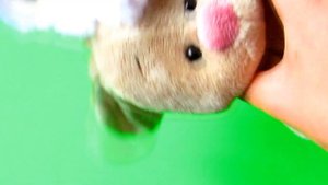 Зайка Ми/ Zaika Mi