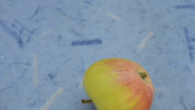 История одного Ежа Лето на даче смотреть онлайн