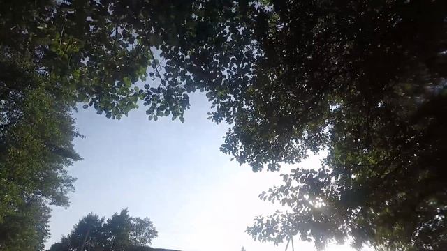 2017 На байдарке по реке Гавья от Жемыславльского водохранилища до трассы М6 смотреть онлайн