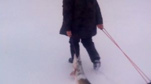 Зимняя рыбалка на о. Вишневском.  Трофейный улов.