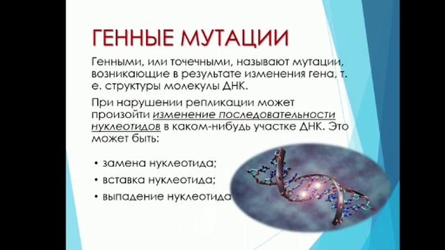 10 класс. Биология. Спонтанные и индуцированные мутации. Генные, хромосомные, геномные мутации