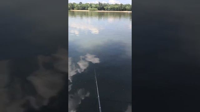 Отдых в Багаевской на Дону смотреть онлайн