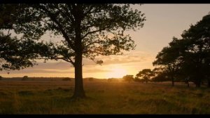 МУЗЫКА ЖИВАЯ ПРИРОДА ВОССТАНОВЛЕНИЕ ЦНС