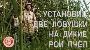 Установил две ловушки на дикие рои пчёл.  Другой роелов когда-то здесь устанавливал ловушки